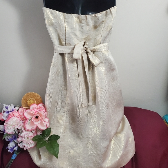 The Limited Strapless Dress - Picture 2 of 5